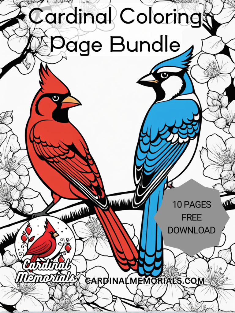cardinal coloring page bundle free download .png files
