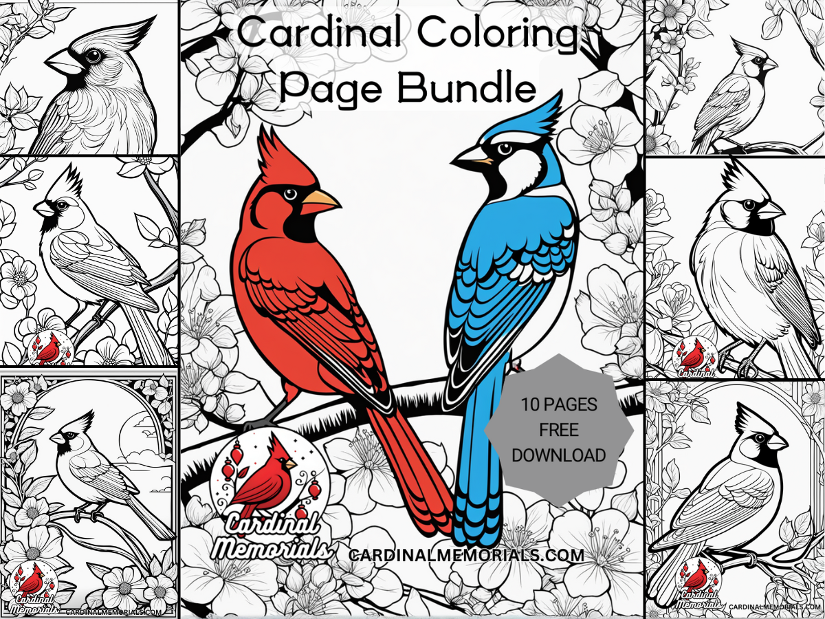 Cardinal Coloring Page Bundle – Free Download